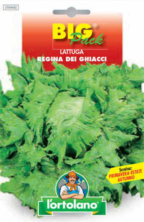 Semi Lattuga Regina Dei Ghiacci L'Ortolano