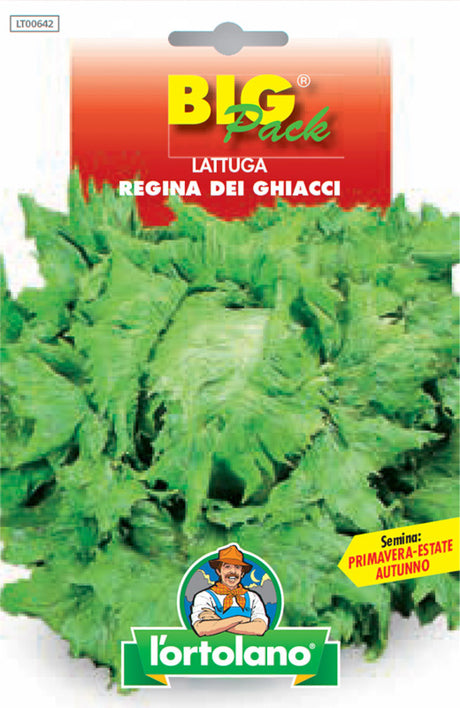 Semi Lattuga Regina Dei Ghiacci L'Ortolano
