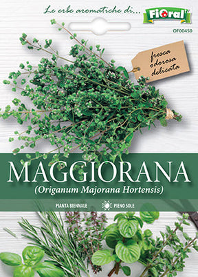 Semi Maggiorana Gentile Fioral