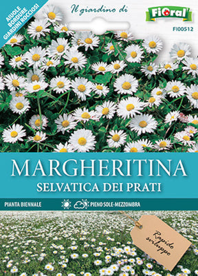 Semi Margheritina Selvatica Dei Prati Fioral