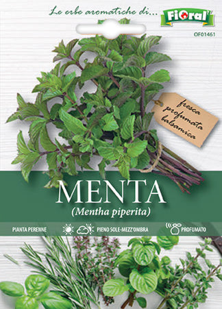 Semi Menta Fioral