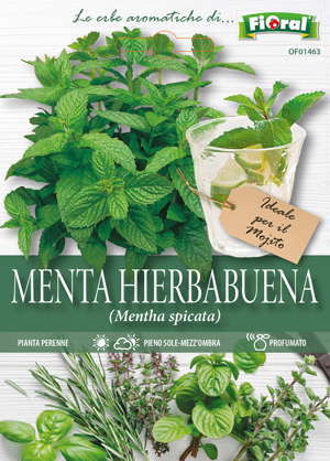 Semi Menta Hierbabuena Fioral
