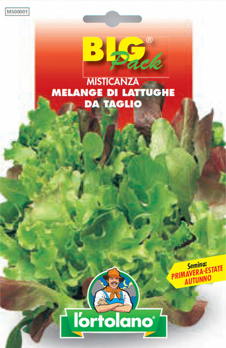 Semi Misticanza Melange Di Lattughe Da Taglio L'Ortolano