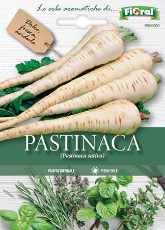 Semi Pastinaca Fioral