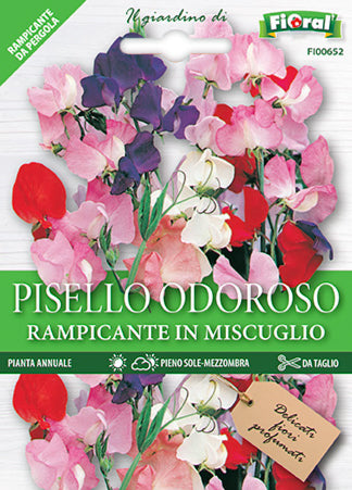Semi Pisello Odoroso Rampicante In Miscuglio Fioral