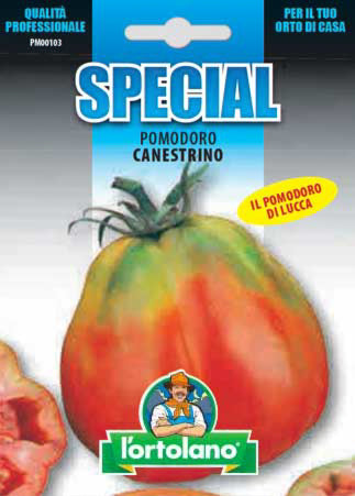 Semi Pomodoro Canestrino Di Lucca L'Ortolano
