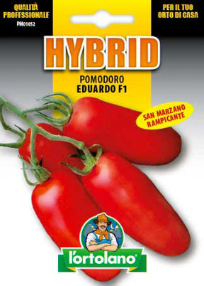 Semi Pomodoro Eduardo F1 L'Ortolano