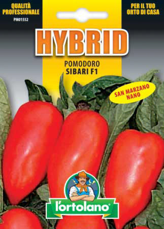 Semi Pomodoro Sibari F1 L'Ortolano