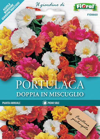 Semi Portulaca Doppia In Miscuglio Fioral