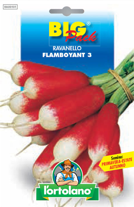 Semi Ravanello Flamboyant 3 L'Ortolano