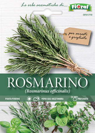 Semi Rosmarino Fioral