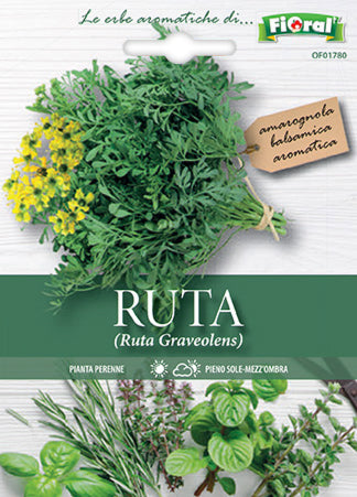 Semi Ruta Fioral