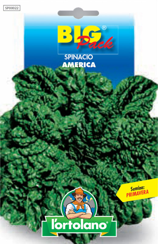 Semi Spinacio America Big Pack L'Ortolano