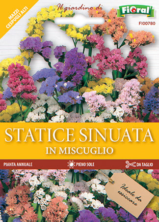Semi Statice Sinuata In Miscuglio Fioral