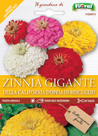 Semi Zinnia Gigante Della California Doppia In Miscuglio Fioral
