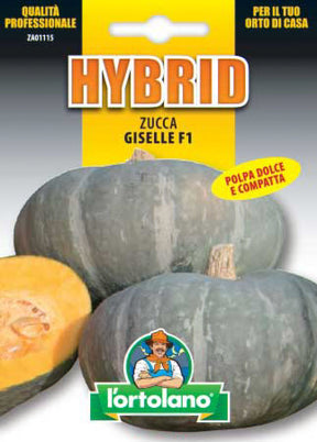Semi Zucca Giselle F1 L'Ortolano