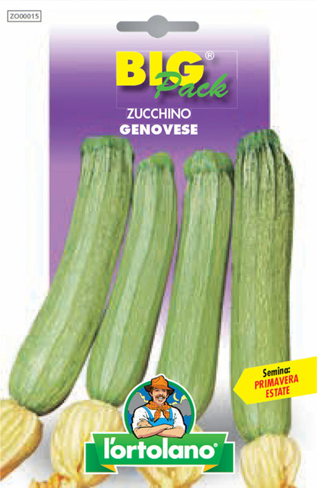 Semi Zucchino Genovese Big Pack L’Ortolano