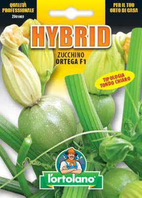 Semi Zucchino Ortega F1 L'Ortolano