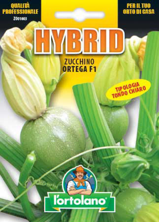 Semi Zucchino Ortega F1 L'Ortolano