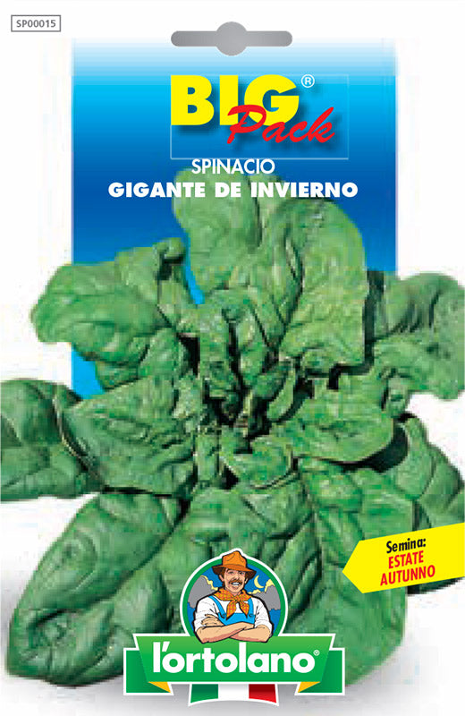 Giant Winter Spinach - Big Pack - L'Ortolano