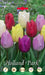 Tulipani Single Early Prince Mix - mix colori - 10 bulbi Fioral (4050540)