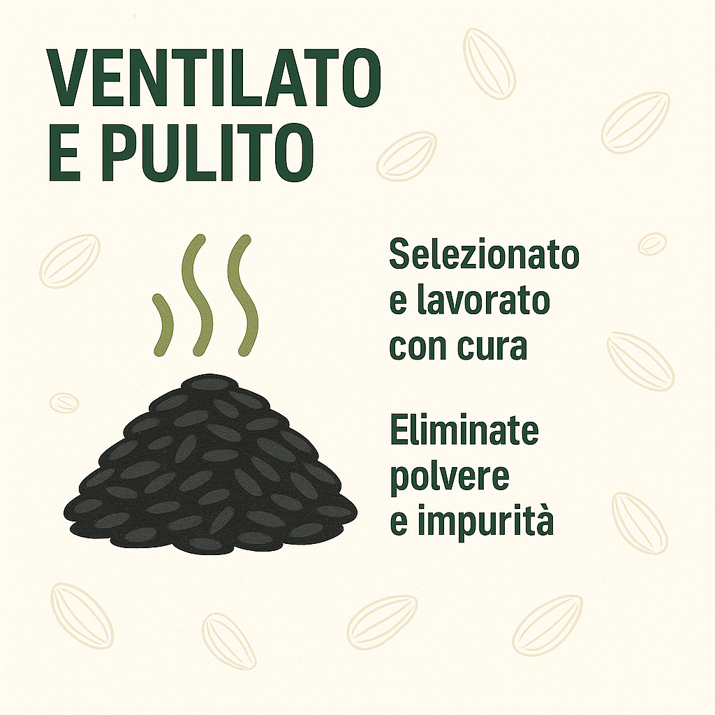 Girasole intero per polli e galline