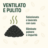 Girasole intero per polli e galline