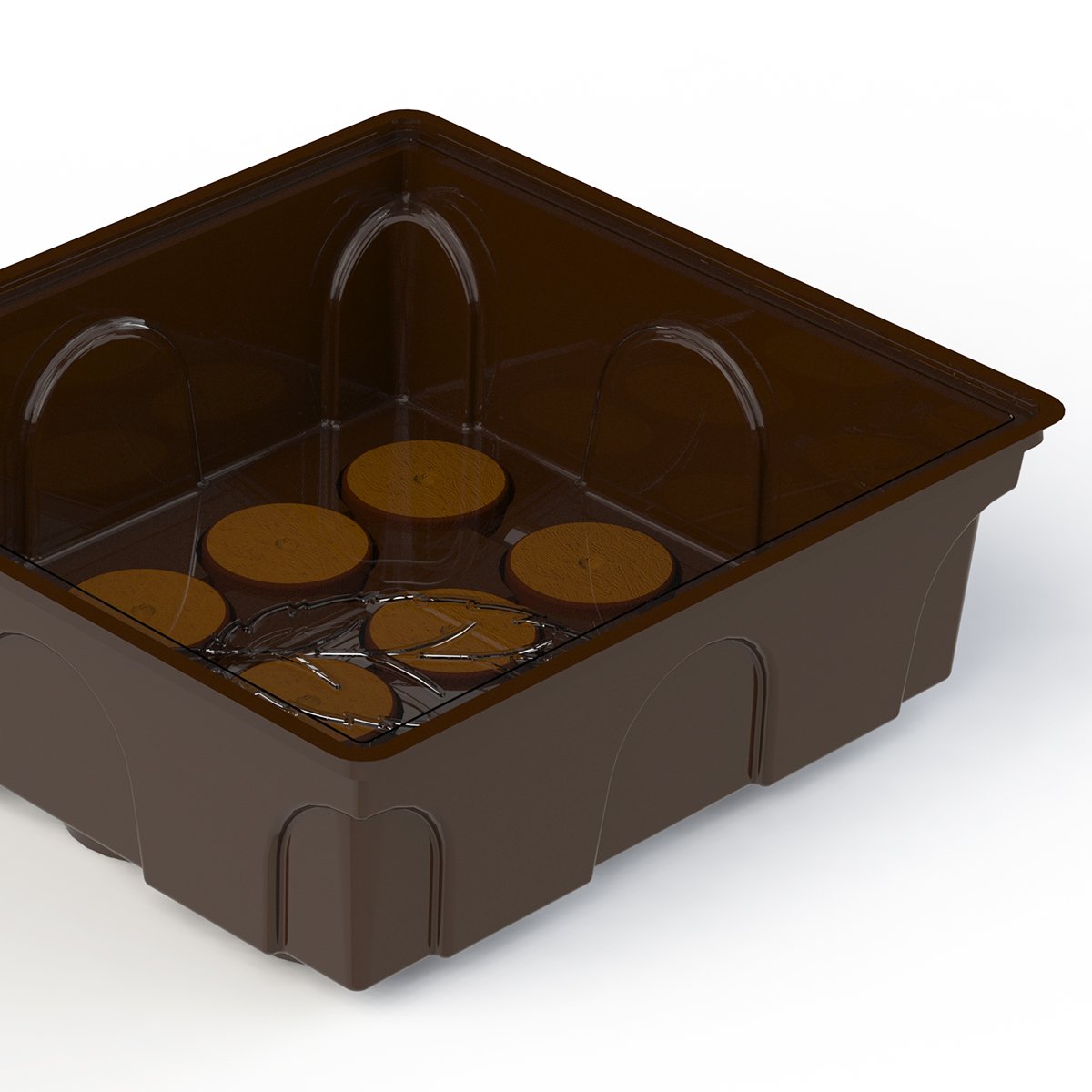 Base del kit di avviamento per semi per contenere 12 tablet Jiffy o coco.