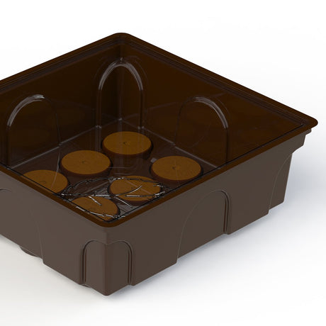 Base del kit di avviamento per semi per contenere 12 tablet Jiffy o coco.