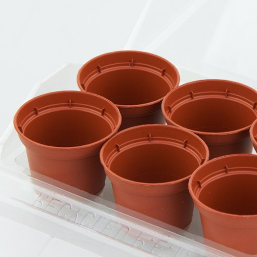 Mini serra propagatrice per 6 vasi TEKU TO5.
