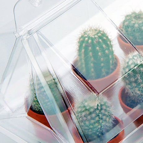 Mini serra propagatrice per 6 piccoli vasi in terracotta - Confezione da 500 pz