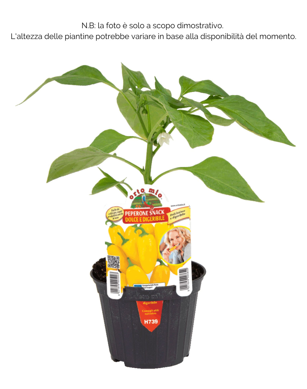 Triyello Peperone dolce snack Triyello F1 - 1 pianta vaso 10 cm - Orto Mio ...