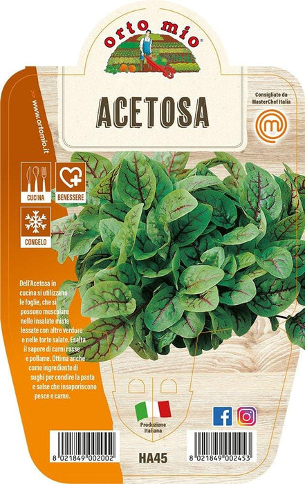 Acetosa - 1 pianta v.14 cm - Orto Mio Orto Mio (2491682)