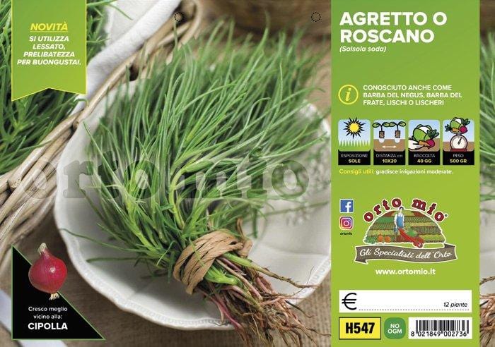 Agretto o Roscano - 12 piante - Orto Mio Orto Mio