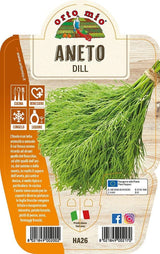 Immagine illustrativa: Aneto Dill. La pianta ricevuta può avere dimensioni e sviluppo diversi.