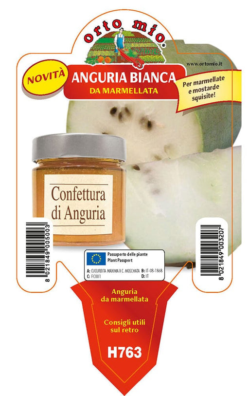 Anguria da marmellata Marmellata - 1 pianta v.10 cm - Orto Mio Orto Mio (2491841)