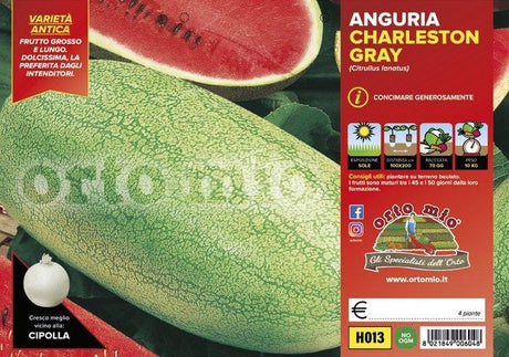 Anguria lunga chiara Charleston Gray - 4 piante - Orto Mio Orto Mio (2491843)