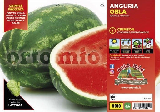 Anguria ovale Crimson Obla F1 - 4 piante - Orto Mio Orto Mio (2491851)