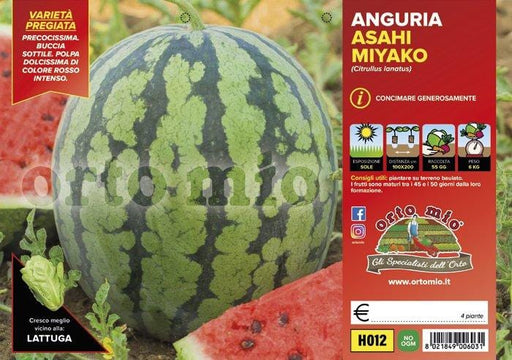 Anguria precoce Asahi Miyako F1 - 4 piante - Orto Mio Orto Mio (2491852)