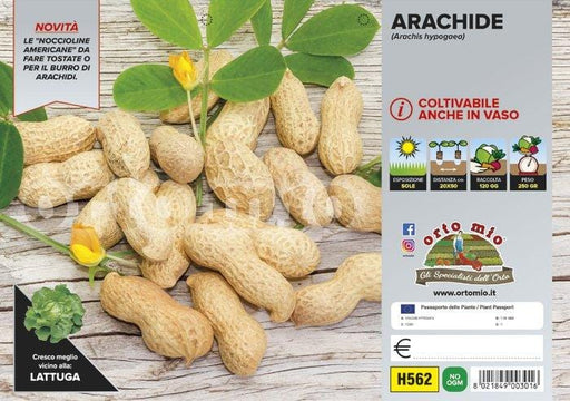 Arachide - vaschetta 12 buche 24 piante - Orto Mio Orto Mio (2491897)