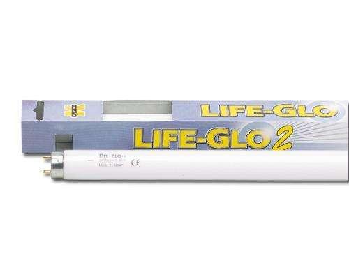 Askoll Life Glo 40L W, Emette Luce Bianca Naturale Per Pesci, Rettili E Anfibi Askoll (2495072)