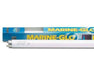Askoll Marine Glo 40L W, Per Acquari Marini Blu Attinico Askoll (2495073)
