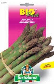 Asparago Argenteuil Big Pack - L'Ortolano L'Ortolano