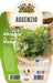 Assenzio - 1 pianta v.14 cm - Orto Mio Orto Mio (2491931)