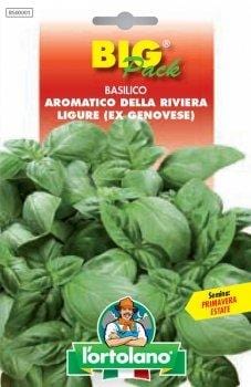 Basilico Aromatico Riviera Ligure (ex Genovese) - Big Pack - L'Ortolano L'Ortolano