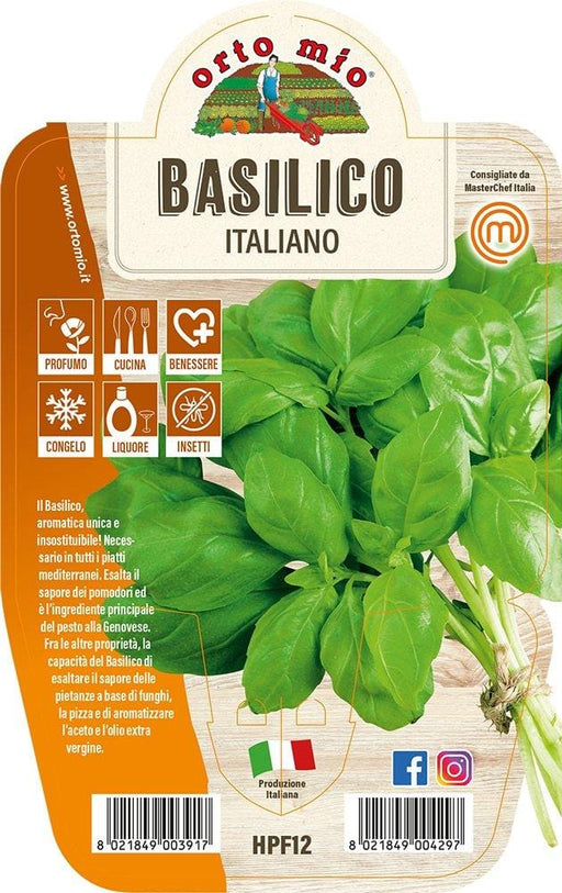 Basilico Italiano Classico Gemma - 1 pianta vaso 14 cm - Orto Mio Orto Mio (2491983)