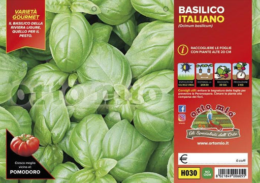 Basilico Italiano Classico Gemma - 6 piante - Orto Mio Orto Mio (2491984)