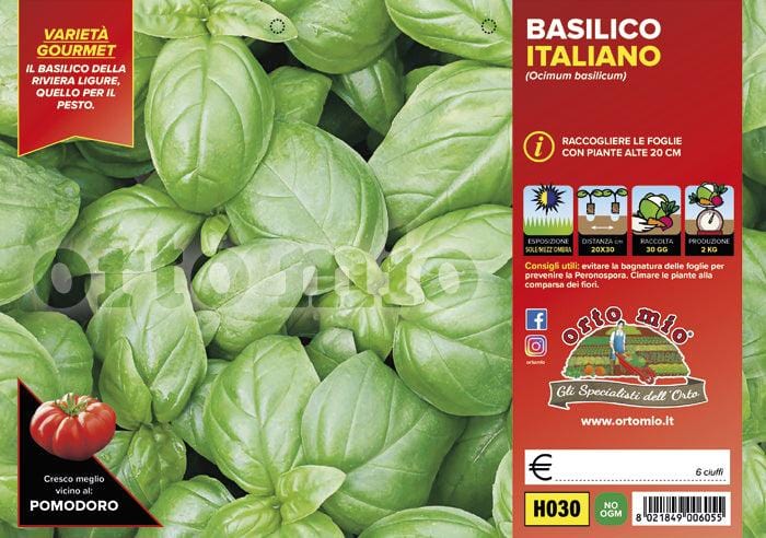 Basilico Italiano Classico Gemma - 6 piante - Orto Mio Orto Mio