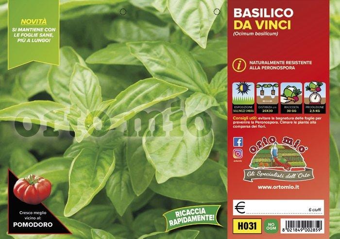 Basilico resistente alla peronospora Da Vinci - 6 piante - Orto Mio Orto Mio (2491986)