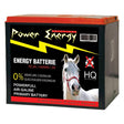 Batteria a secco - 10000 ore - 9V - 90 ah - recinto elettrico AmaHorse (2491993)